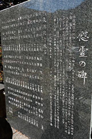 hachiouji_uratakao_inohanatunnel_c4