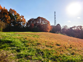 南多摩線22号 machida_oyamadaryokuchiookubobunen-mnt22_a