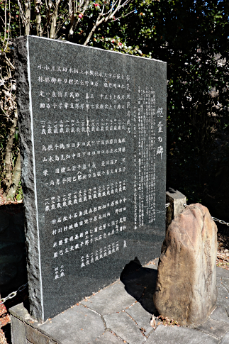 hachiouji_uratakao_inohanatunnel_c3