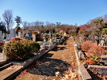 北の離れ 霊園彷徨 ロウバイ Mystic Rhythms