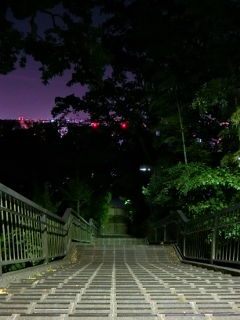 三鷹市、国立天文台南 mitaka_tenmondai_kokubunjigaisen_night