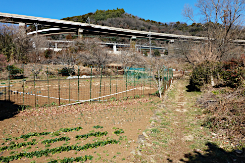 hachiouji_uratakao_inohanatunnel_b