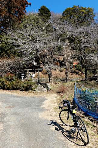 hachiouji_uratakao_sinmeisya