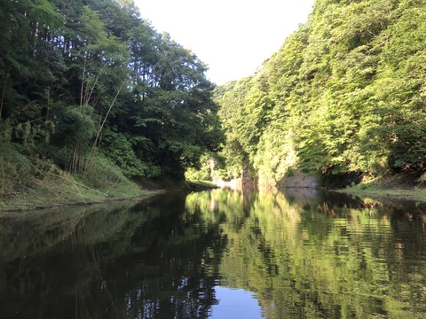 20190711_072357