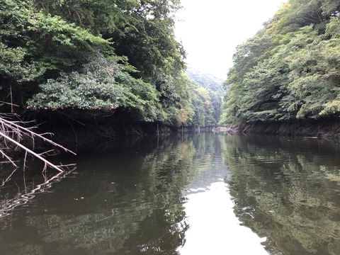 20190904_074204