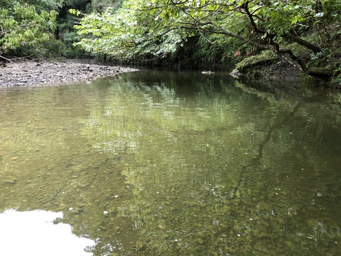 20191015_092344