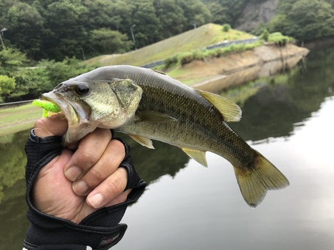 20190904_070749