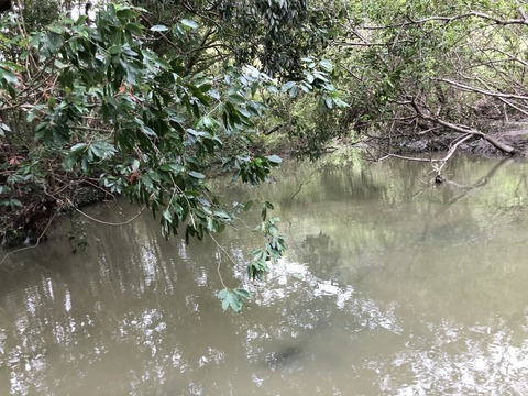 20191015_124513