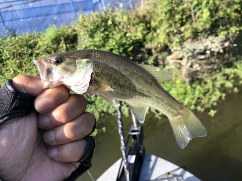 20190930_150204