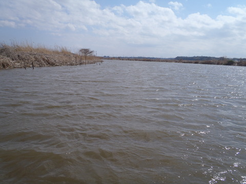20160322_131634