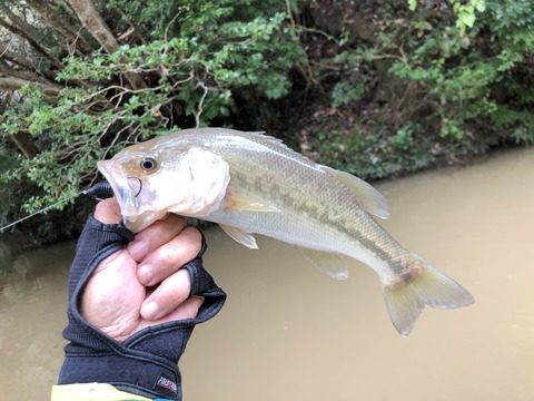 20191015_104635