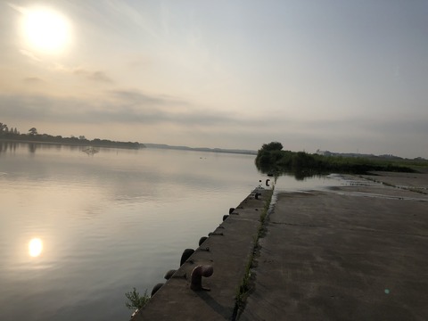 20190731_061000