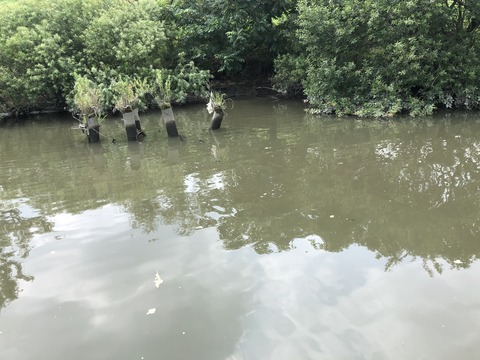 20190731_102319