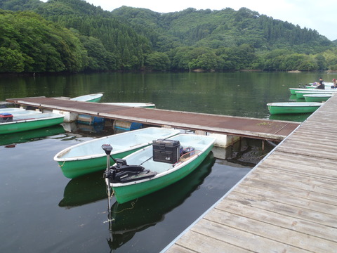 20180529_053325