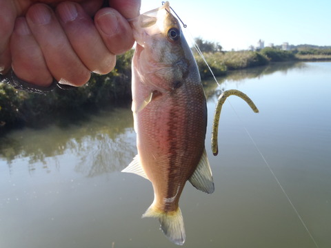 20161026_091239