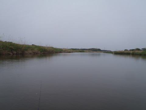 20170509_103551