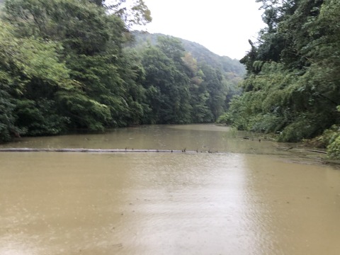 20191015_065539