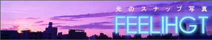 feellight