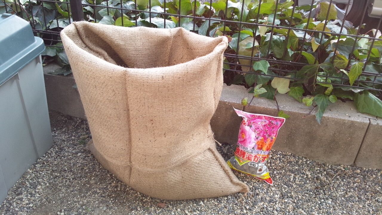 麻袋にじゃがいも1こ 農業やめて都会でベランダ菜園的なことをするブログ 麻袋にじゃがいも1こ 農業やめて都会でベランダ菜園的なことをするブログ