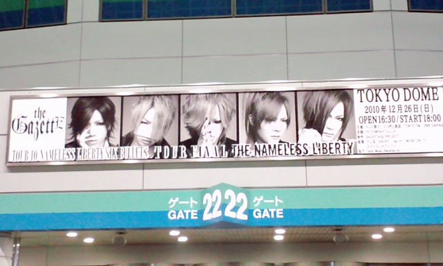 ガゼット the GazettE 2010 TOKYO DOME
