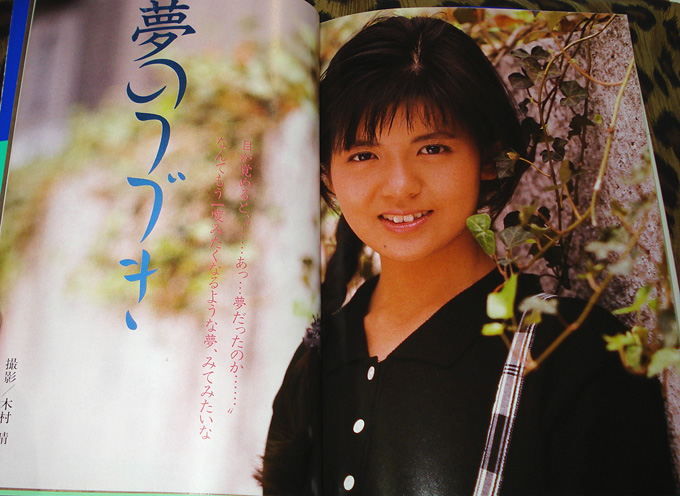 まるごと南野陽子BOOK : selfishness