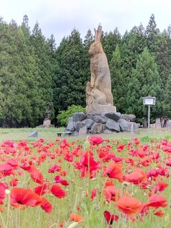 IMG_2023-06-03-12-24-44-446