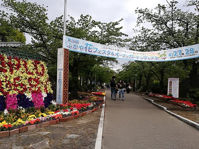 埼玉県深谷市 花フェスタ 小さな旅 ススムが進む