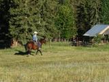 Cowboy