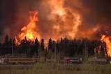 Bush fire