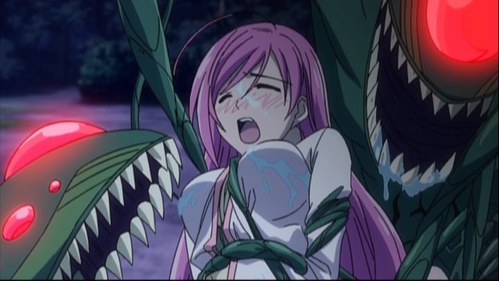 ロザリオとバンパイア アニメヒロインのピンチに萌える データベース ロザリオとバンパイア アニメヒロインのピンチに萌える データベース