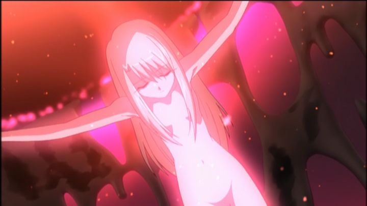 Fate/stay night : 『アニメヒロインのピンチに萌える!』 データベース