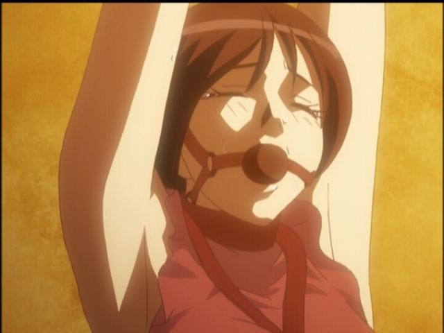 サムライガン アニメヒロインのピンチに萌える データベース