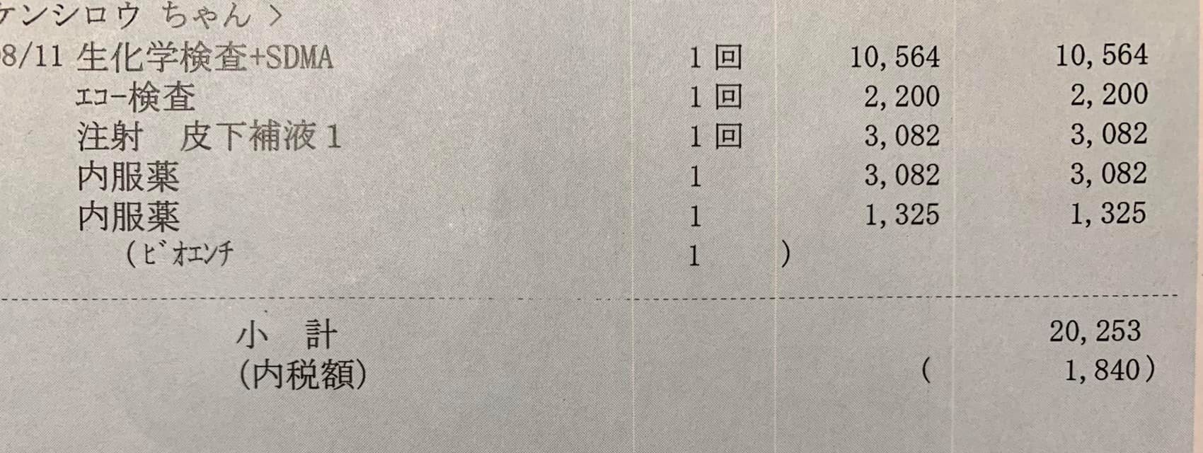 118011159_3197959853627033_1432973999064252421_o