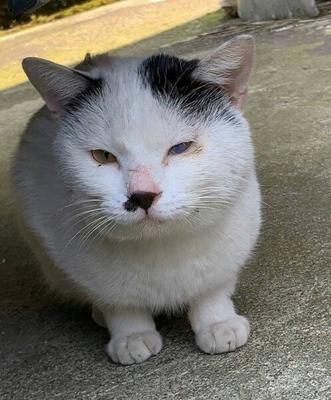 64249