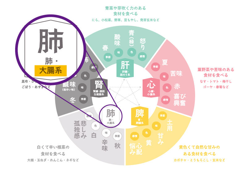 陰陽五行・肺は大腸