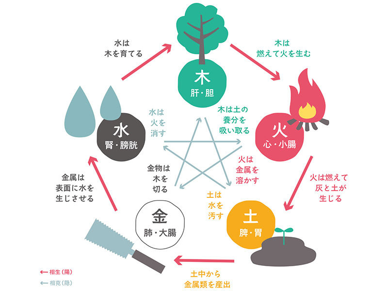 自然の循環
