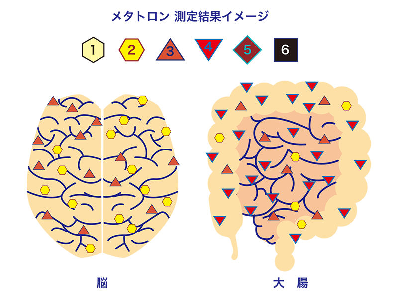 メタトロン測定結果イメージ