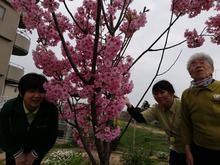 IMG_20200326_151228
