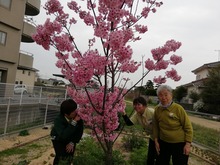 IMG_20200326_151219
