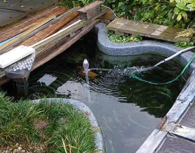 岩魚の飼育 ６７０ 岩魚の池の掃除 翁日記 ヤマメ シュリンプ