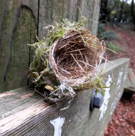 オオルリの巣 翁日記 ヤマメ シュリンプ