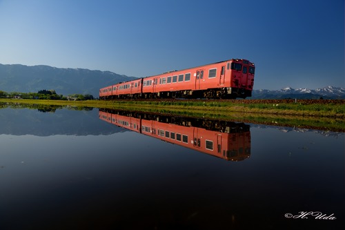 DSC_3390_143.JPG-1.jpg-1