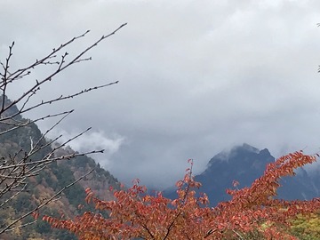 8A5F7B3B-D46F-4B6F-9933-D5C7FEAD1331