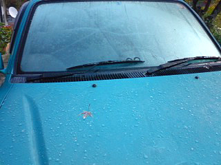 07329c5f.jpg