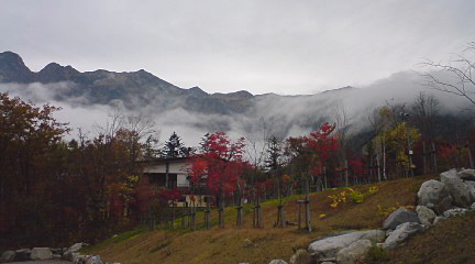 14764d37.jpg