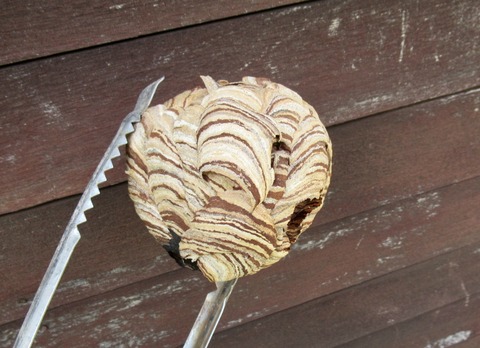 CD1B67A8-053E-499C-9E3A-FDE7A5462A6F