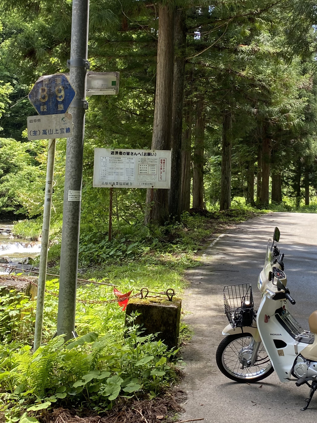 985F2BBE-D0D3-4D6E-8691-69E3C0EA7352