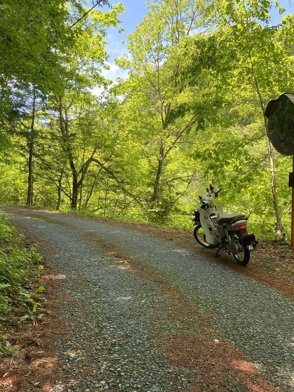 54291D2C-6D36-4458-B4E9-2EB86AF81A2B