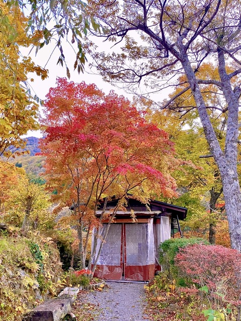 934BD0B1-9A11-4539-8FA9-F1C82431AA51