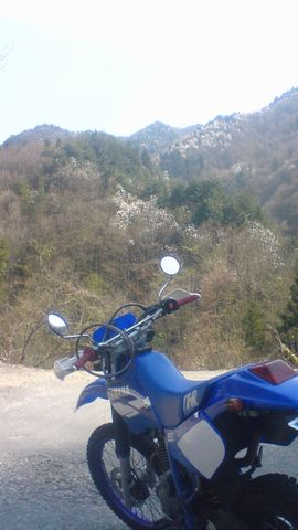 231288fa.jpg